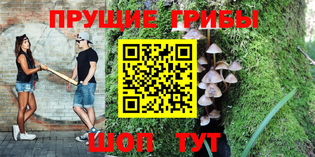 Галлюциногенные грибы Cubensis  Вход с VPN  Чайковский 