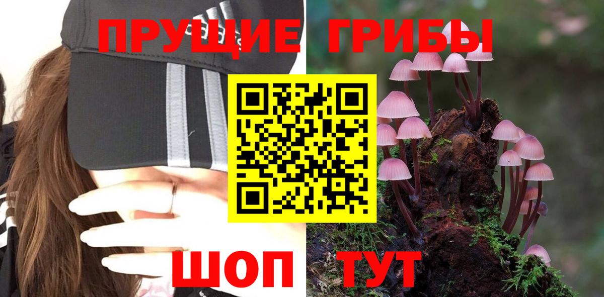Псилоцибиновые грибы Psilocybine cubensis Чайковский